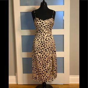 Windsor store wild thoughts dress.